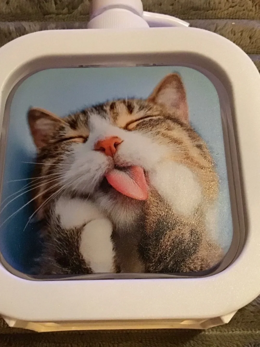 White Cat-Themed Pet Shampoo Dispenser Bottle